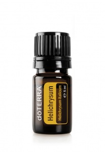 Helichrysum